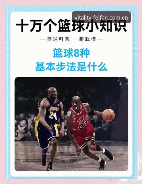 非凡体育登录入口篮球数据使用指南：从安装到实时赛事追踪的新手教程